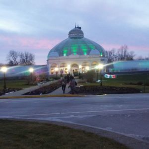 Meet your Posher, Rosemarie